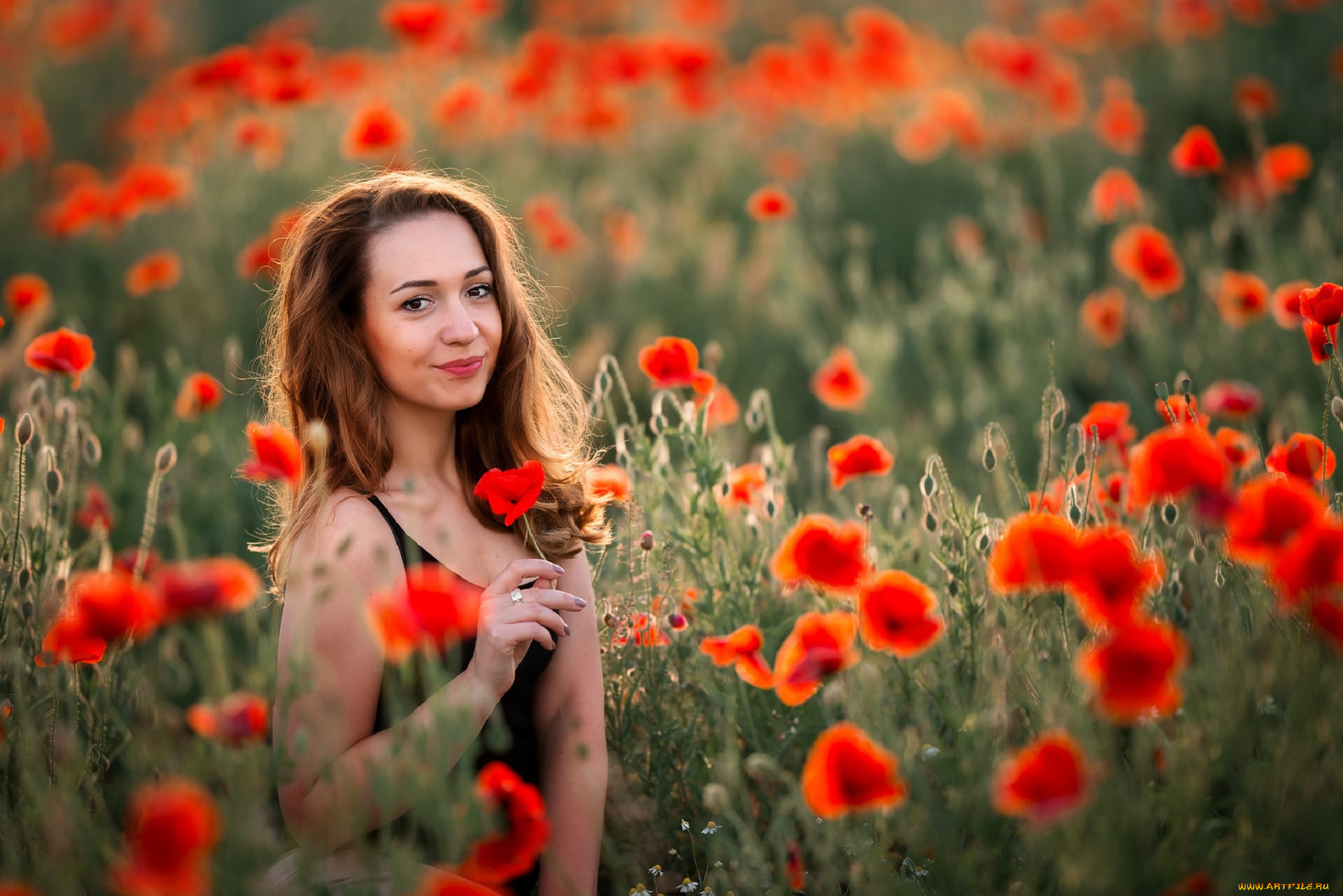 Фотограф в поле. Девушка маки. Поле маки девушка. Девушка лежит в маковом поле. Девушка среди маков.